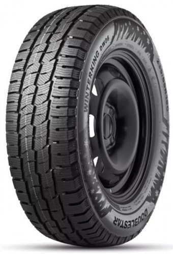 Шина Double Star DW06 195/75 R16 107/105R